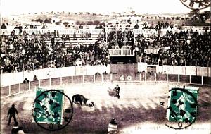 Oran -Arenes de Gambetta - Course de Taureaux - 1910